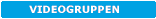 Videogruppe
